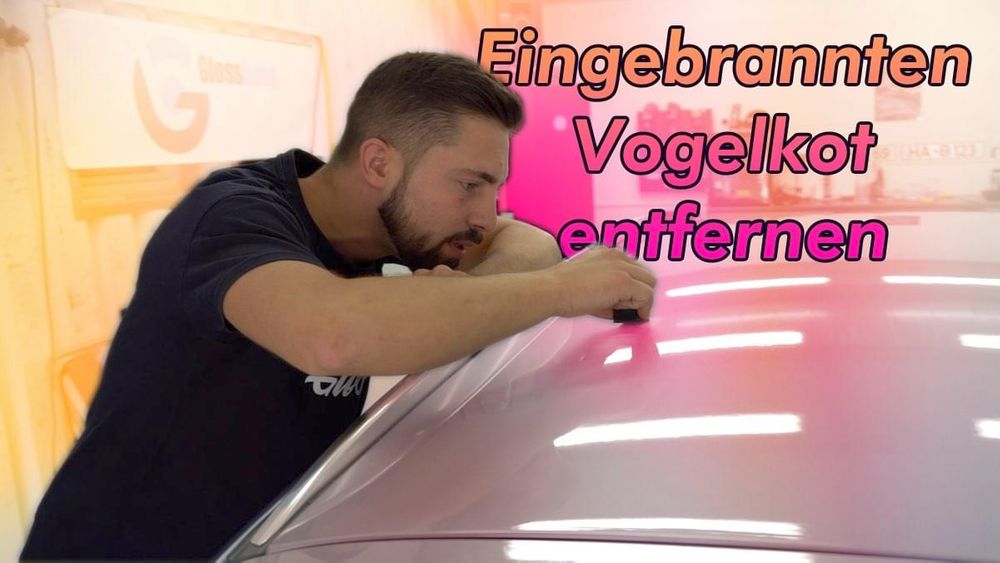 Eingebrannten Vogelkot entfernen